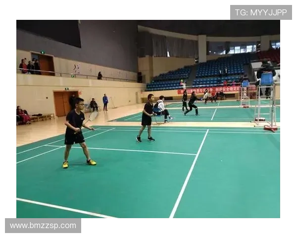 武汉羽毛球队在世界锦标赛积分榜上以65分稳居第一名展现强大实力 武汉羽毛球队在世界锦标赛积分榜上以65分稳居第一名展现强大实力